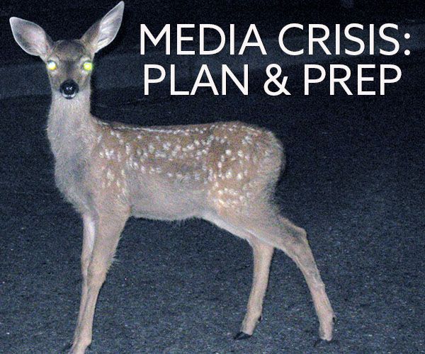 deer in headlights and "media crisis: plan & prepare"