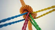 multiple colors of ropes tied together in a firm know to represent relationships