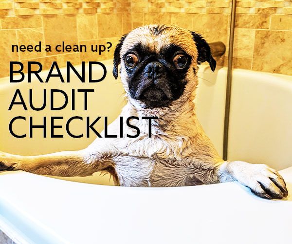 wet puppy in a bath tub with text that says "need a clean up? Brand Audit Checklist"